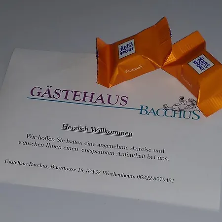 Pensión Gaestehaus Bacchus Wachenheim an der Weinstraße