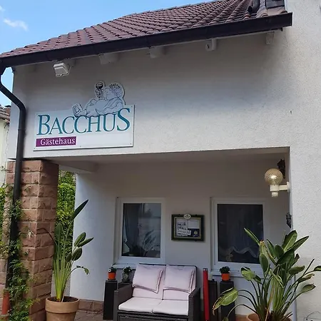 Guest house Gaestehaus Bacchus Wachenheim an der Weinstrasse