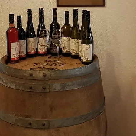 Pensión Gaestehaus Bacchus