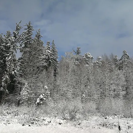 Pensión Gaestehaus Bacchus Wachenheim an der Weinstraße