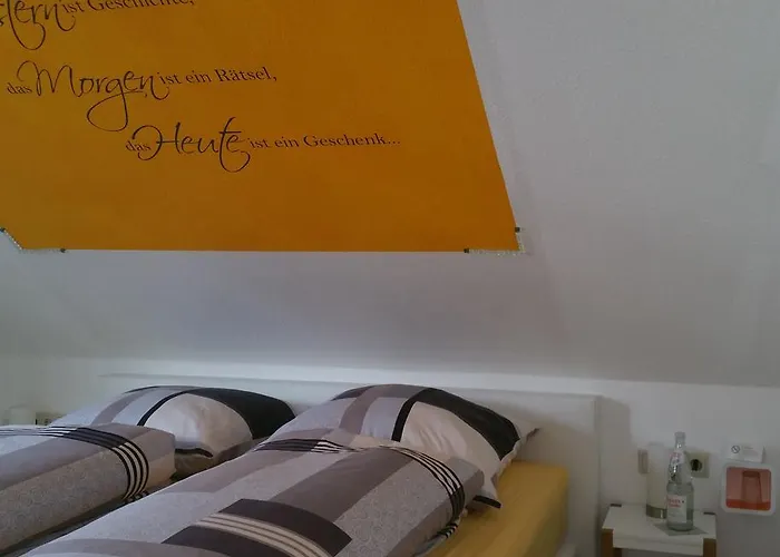 Guest house Gaestehaus Bacchus 3*