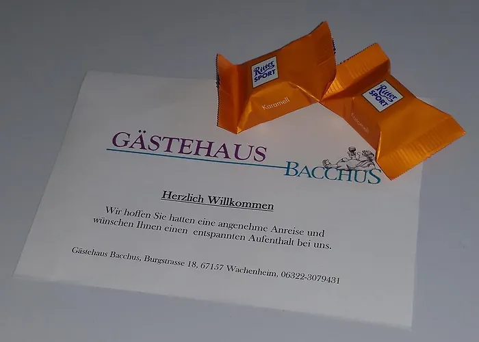 ゲストハウス Gaestehaus Bacchus Wachenheim an der Weinstraße