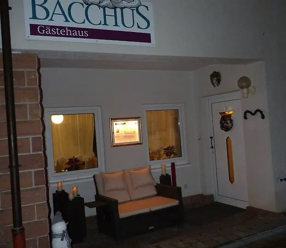 Gaestehaus Bacchus 게스트하우스 3*