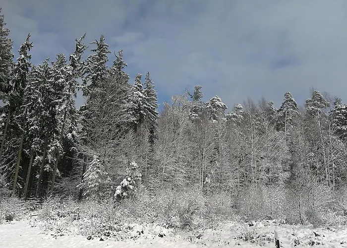 게스트하우스 Gaestehaus Bacchus Wachenheim an der Weinstraße